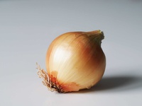 Oignon