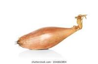 Sauce Tomate
